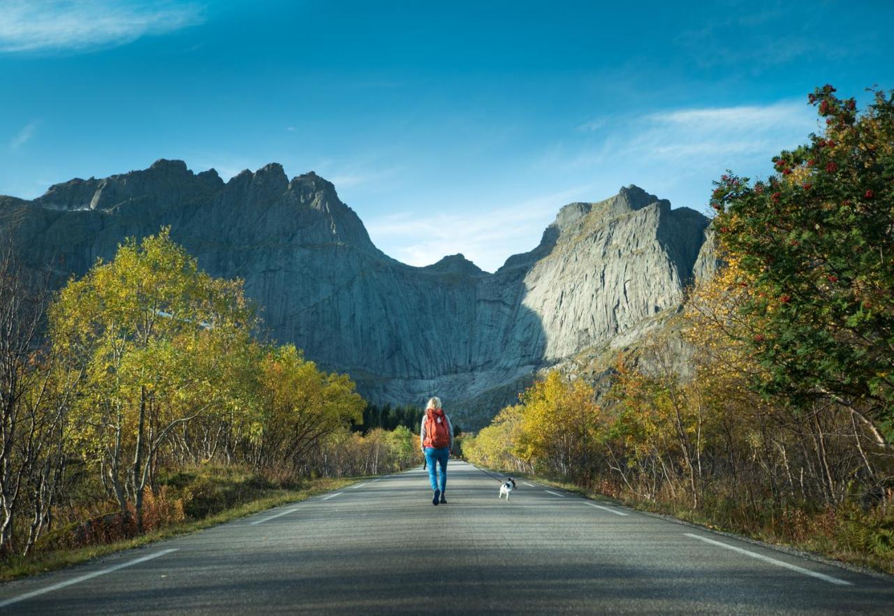 Lofoten Cottages By Nussfjord Zewnętrze zdjęcie